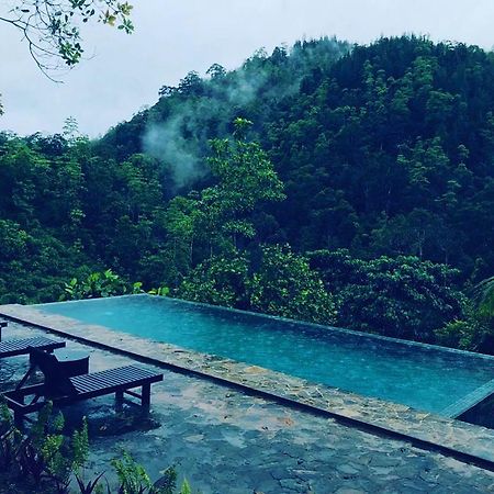 Jansen'S Bungalow Sinharaja Rainforest Retreat Kudawe エクステリア 写真