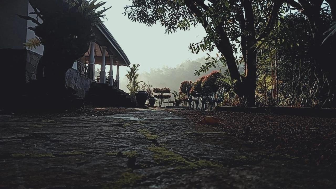 Jansen'S Bungalow Sinharaja Rainforest Retreat Kudawe エクステリア 写真
