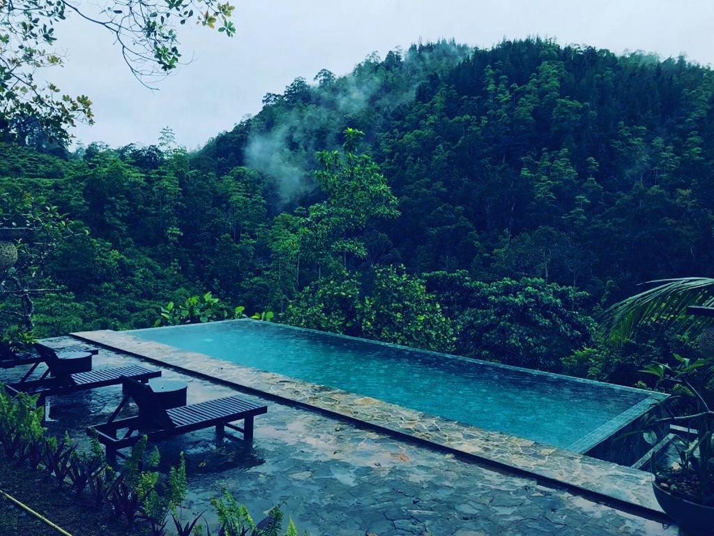 Jansen'S Bungalow Sinharaja Rainforest Retreat Kudawe エクステリア 写真
