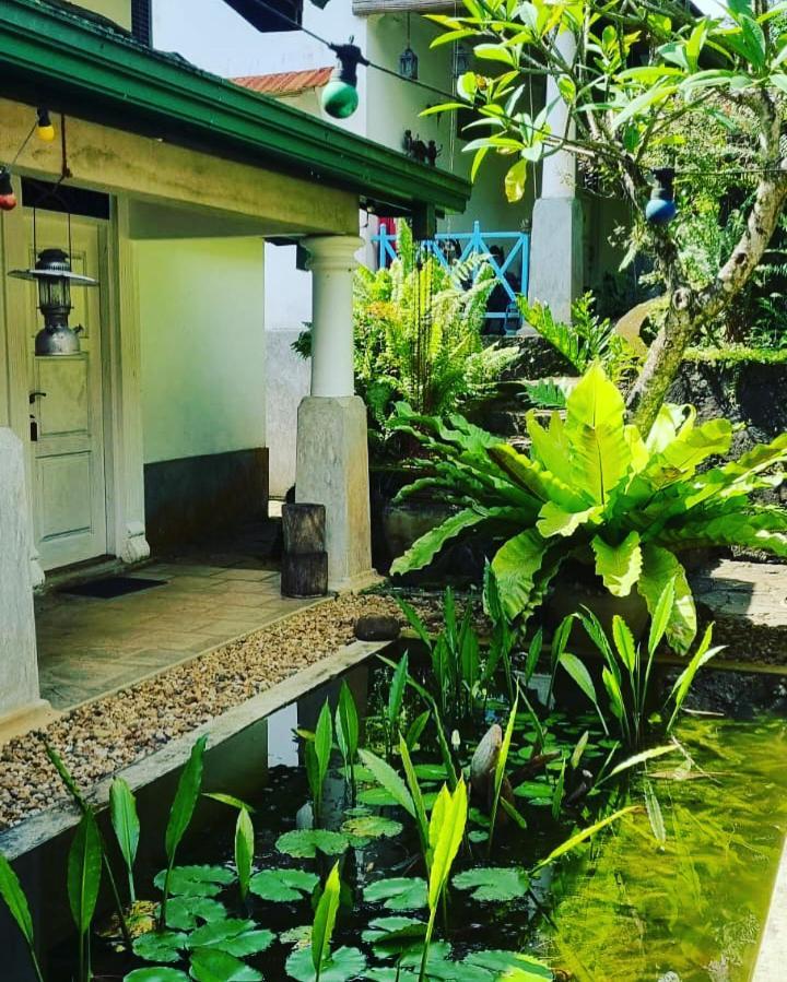 Jansen'S Bungalow Sinharaja Rainforest Retreat Kudawe エクステリア 写真