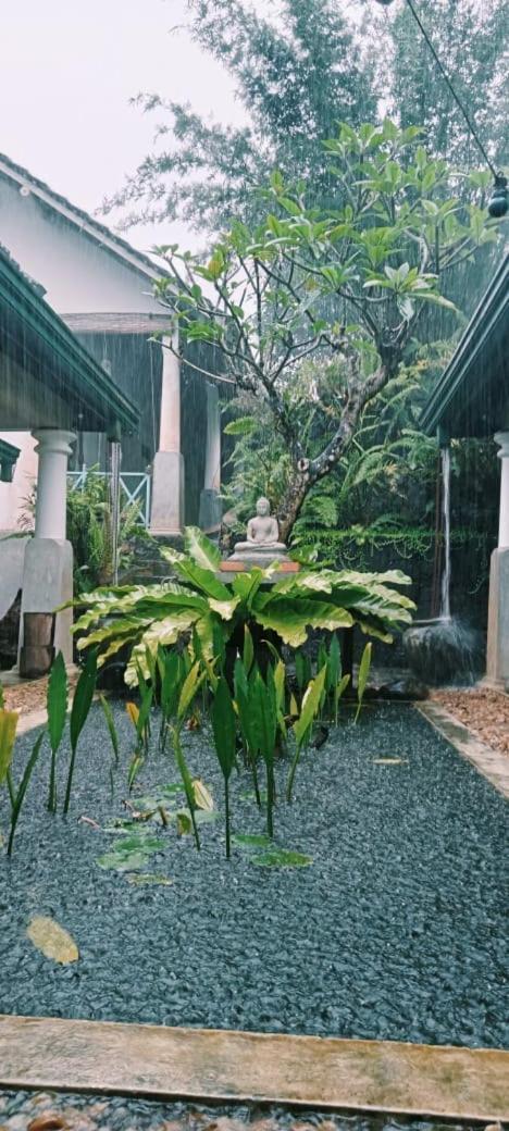 Jansen'S Bungalow Sinharaja Rainforest Retreat Kudawe エクステリア 写真